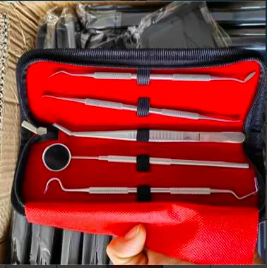 Hot Sell Dental Hygiene Tool Kit Instruments Dentist Tartar Scraper Scaler Calculus Plaque Remover Teeth Cleaning Oral Care Tool
