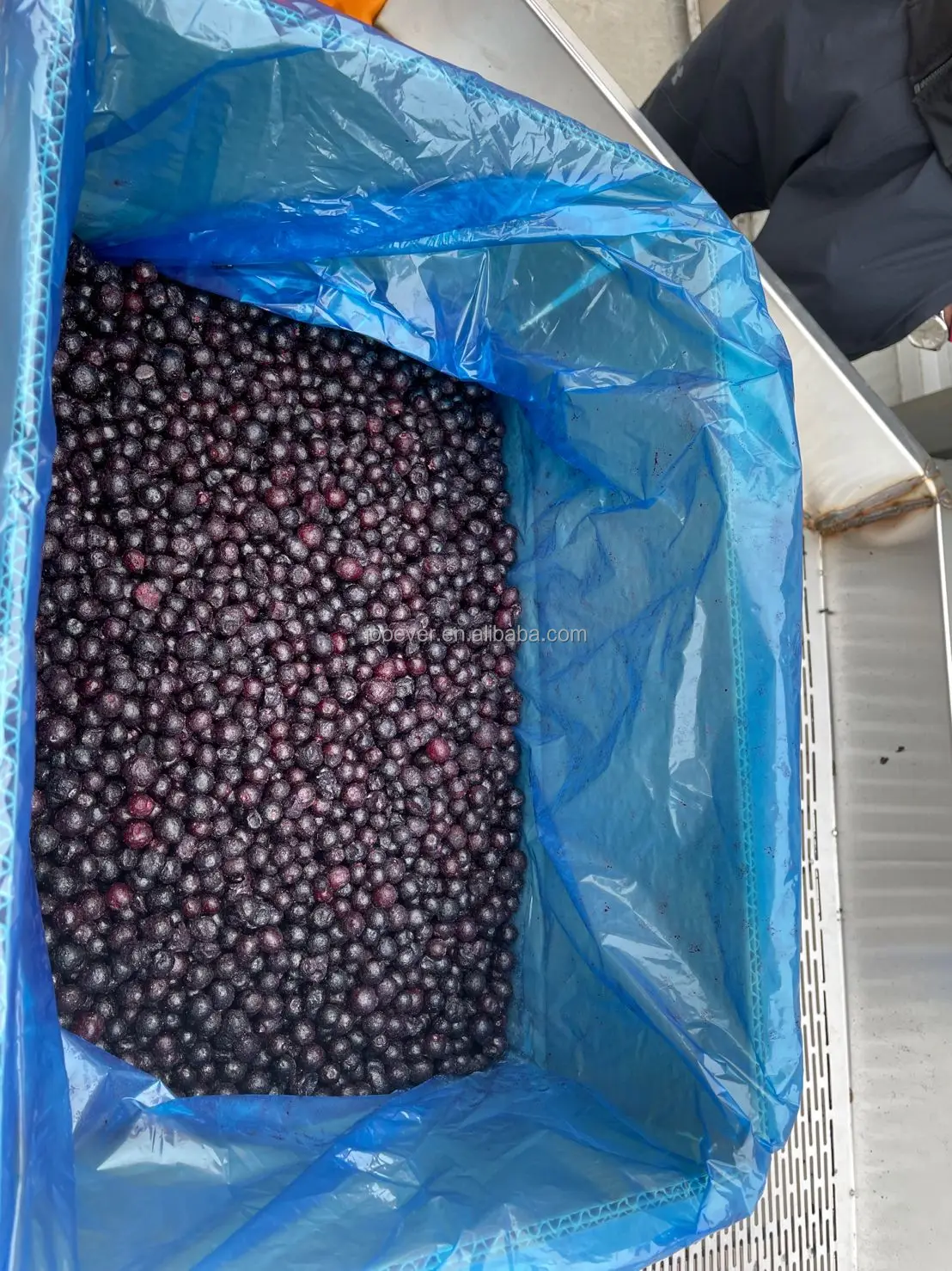 IQF Black Currant Whole Frozen Black Currant for Wholesale