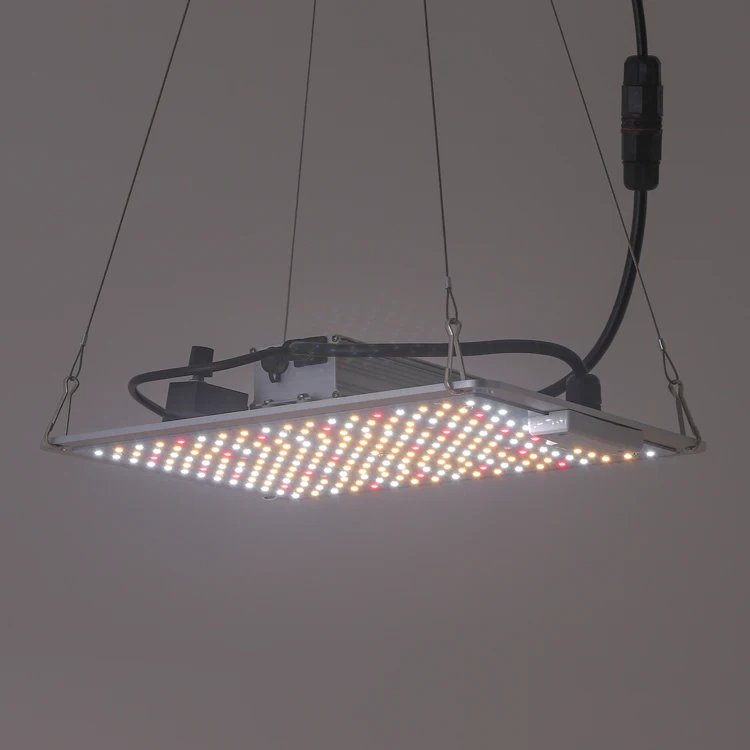 
High power indoor outdoor grow light led 100 watt 234 pcs LEDs Full spectrum for commercial industry growth led plant light 