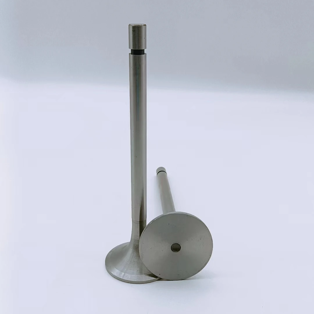 Gasoline Generator Fittings Valve For Benz M102.924  1020531701 Intake Engine Valve And 1020500327 Exhaust Engine Valves