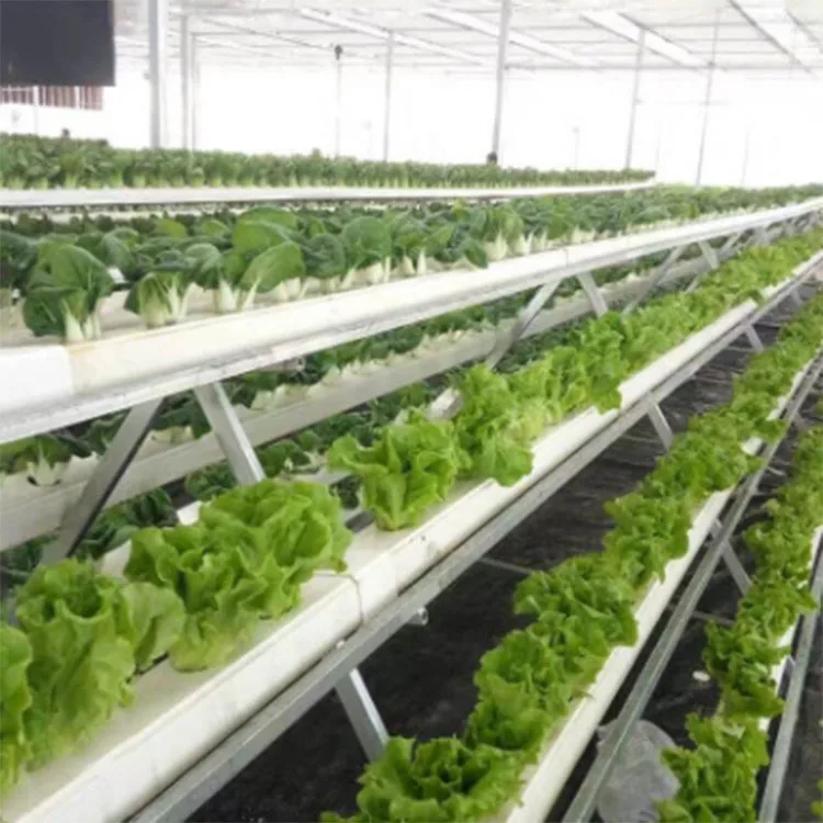 2020 Most Popular Creative Hotsell Hydroponics Plant Pvc Tube Plastic Square Pipe for Hydroponic