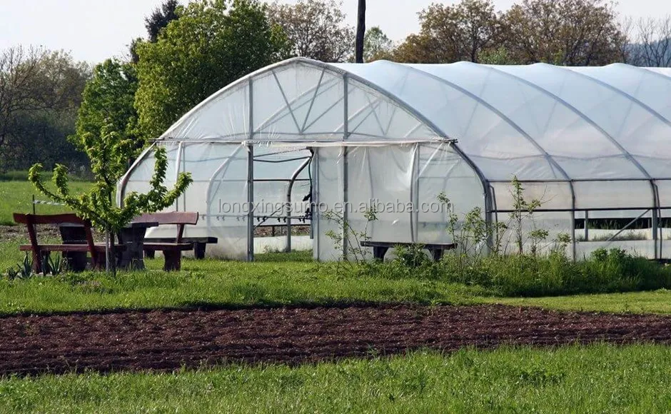 Large Size High Tunnel Agricultural Greenhouse film for Tomato growing