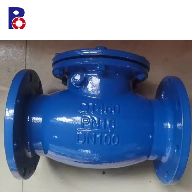 BS standard  DN150 GGG50 body good quality price list valved check swing check valve non return valve