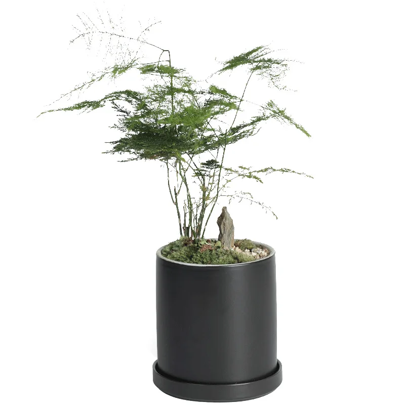 
Ceramic succulent flowerpot Nordic style simple column modern black and white matte with a tray succulent green planter 