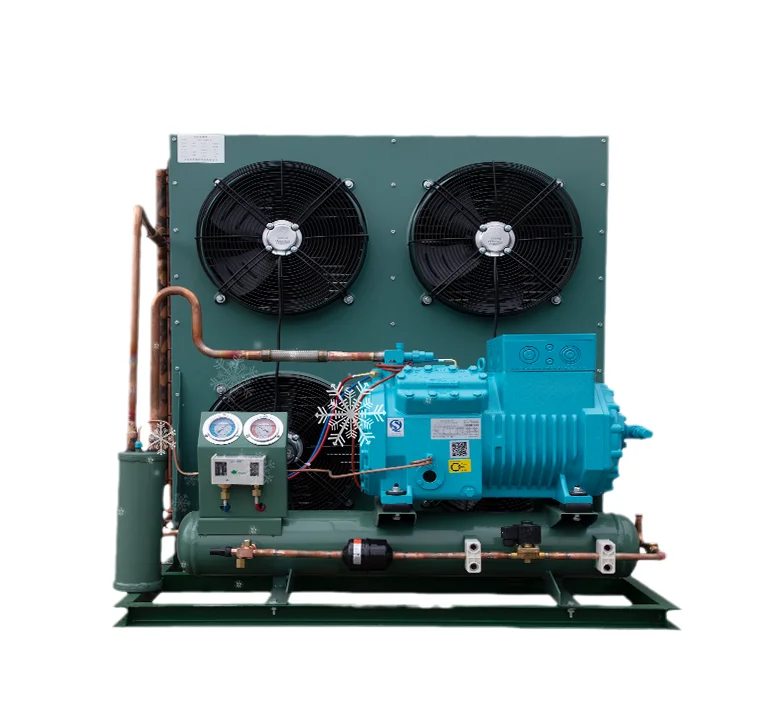 Professional Factory Made Semi-hermetic Refrigeration Compressor Condensing Units For Food Storage