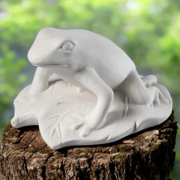 Ceramic frog Bisque unpainted Ideal for nature lovers and crafters perfect for adding a touch of the tropics to your decor.