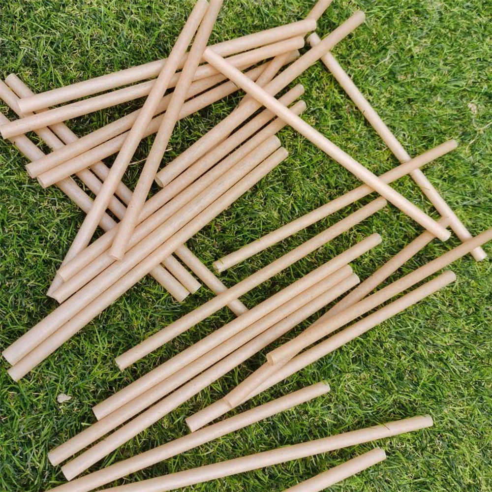 Customized 5 6 7 8 10 12mm Compostable Vegetable Fiber Sugarcane Bagasse Straw Bio Degradable Sugar Cane Disposable Drink Straws