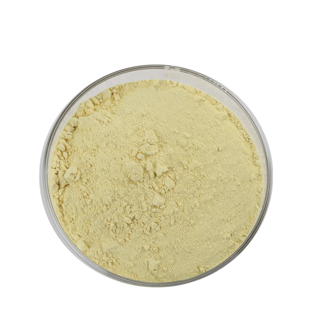 Brand new icariin/ horny goat weed/ epimedium with high quality