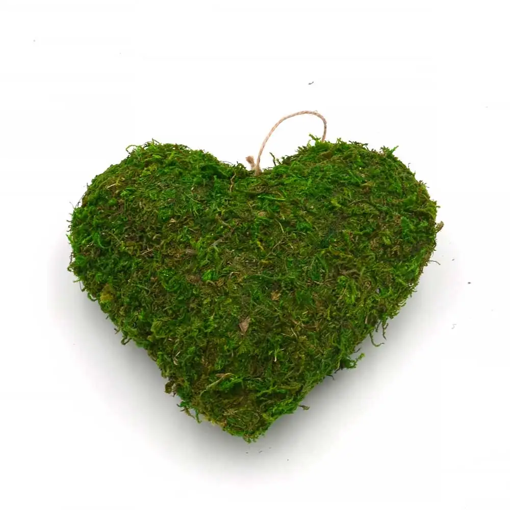 
heart-shaped Three-dimensional hanging pieces loving heart moss garden decoration hanging 