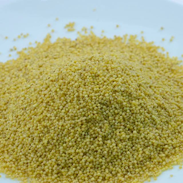 High Grade Wholesale New Crop bulk hulled yellow millet on sale