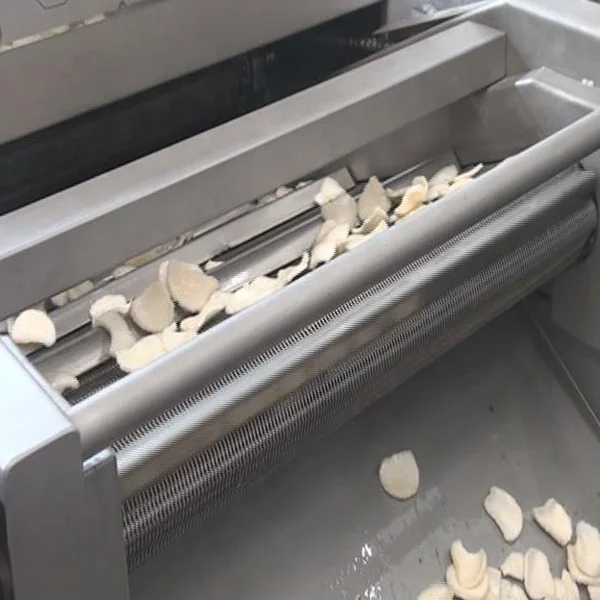 DBP automatic gas continuous belt fryer frying machine with circulation oil filtering system