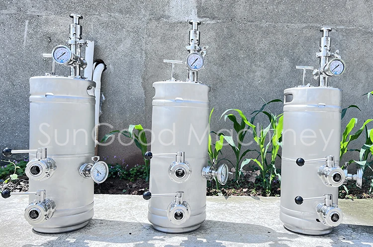 20L 30L 50L 60L yeast propagation keg Beer Keg For Dry Hop And Add fruit/Keg Yeast Brink/Yeast Propagation Keg