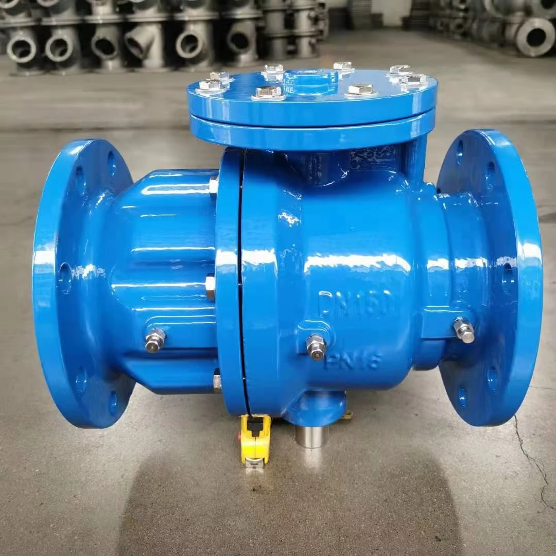 DSBP41X Low Resistence Backflow Preventer Valve Prevents Sewage Backflow