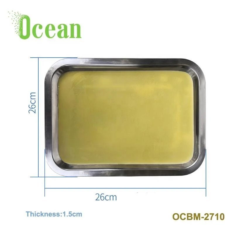 Stainless steel metal tray medical laboratory biological dissecting tray with wax for school