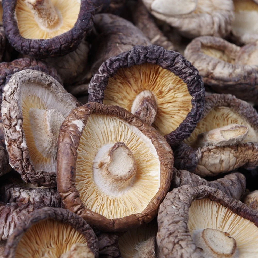 Factory price dried shiitake edible dry mushroom wholesale