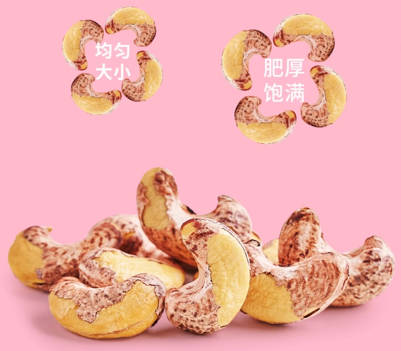 Best Selling Cashews Nut Snacks good quality Cashew nuts for Roasting