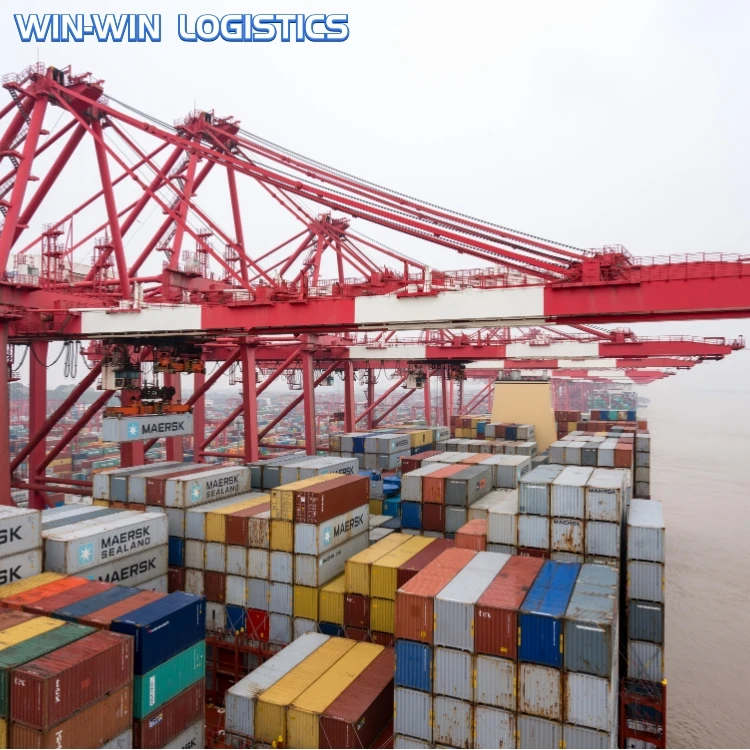 Shipping Charges from China to India cash on delivery sea company indian rate