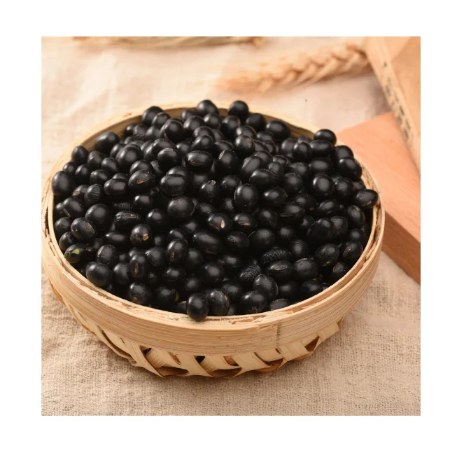China Flat Black Soybean with Yellow Kernels Black Lentils Good Price