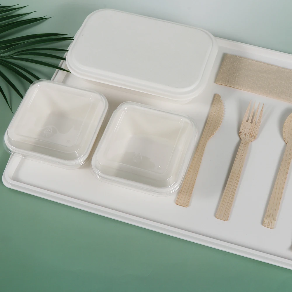 Customized Biodegradable Disposable Sugarcane Bagasse Pulp Food Container Airline Casserole