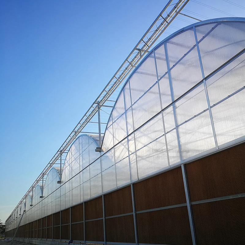 Cooling Pad And Fan For Greenhouse Cooling System