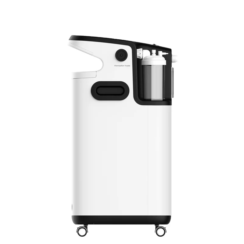 Professional Noiseless Oxygen Concentrator O2 Generator 10Lpm Constant Flow 93% (10L) hospital and homeuse