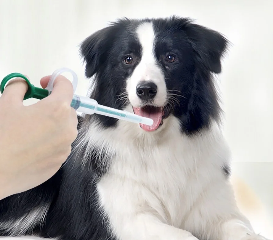 plastic pet dog cat feeding kit for needle tube type medicine feeder