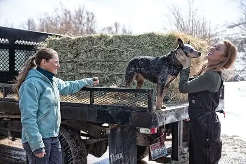 Luxury Dog Leash And Collar Beauty Fashion Toys Dog Leash Leash Per Walking Personalized Spring Tangle Free Slip