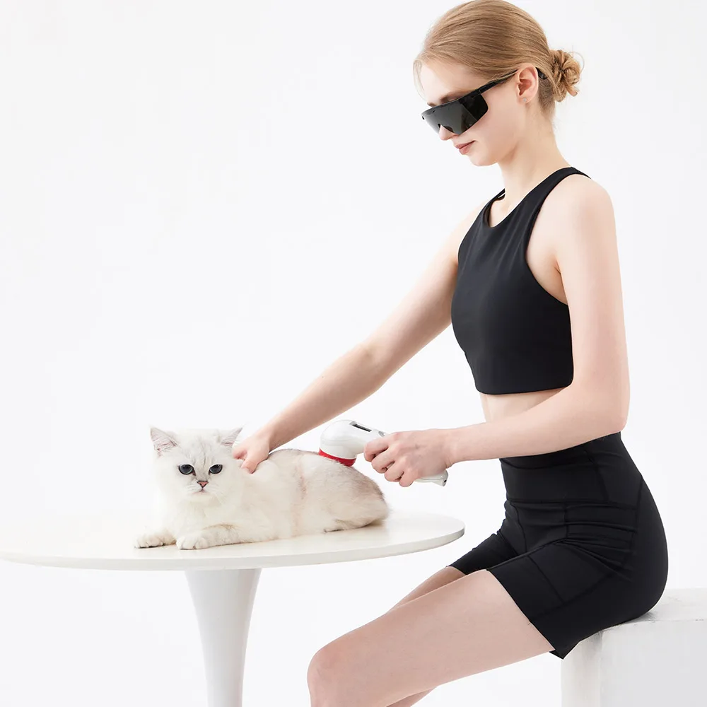 Rheinlaser 808nm 650nm Cold Laser Therapy Red Light Low Level Therapy Animals Machine Physiotherapy Laser Device