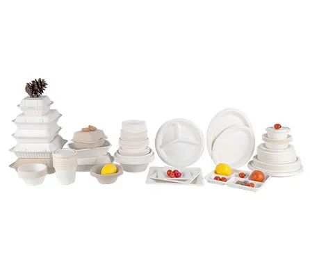 Biodegradable Sugarcane Takeaway Take Out Fast Food Packaging Box Food Containers Biodegradable Packaging