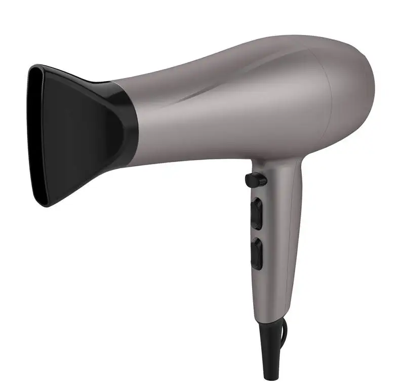 High Power AC Motor Portable Chargeable Styler Hair Brush Parlux Salon Use Diffuser Hotel Hair Dryer Hairdryer