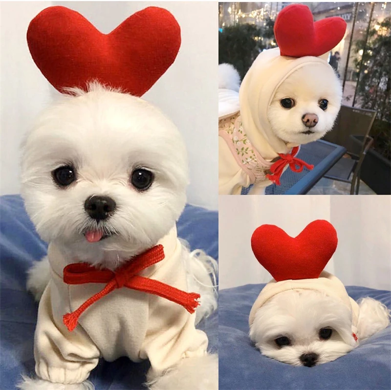 Pet Clothes Dogs Hooded Sweatshirt Fruit Warm Coat Cat Sweater Cold Weather Costume for Puppy Small Medium Large Dog Cat Clothes
