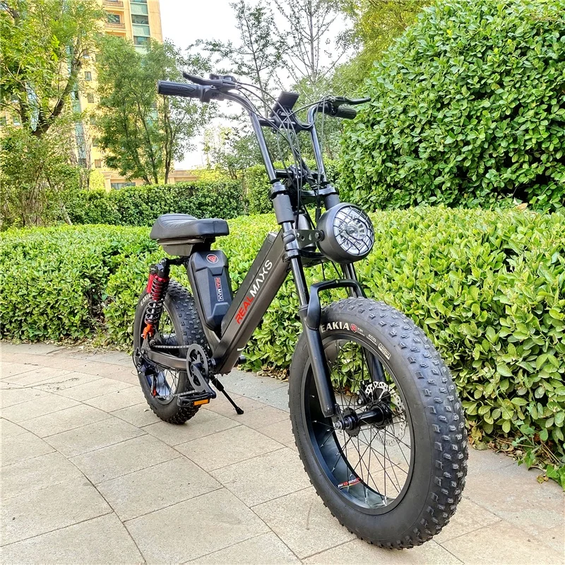 REALMAXS Hot sale 20 inch electric bicycle rear drive 1000w electric city bike electric bike cheap city electric fat bike