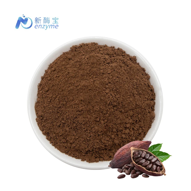 Wholesale Price Bulk Alkalized Cocoa Powder 25kg Raw Cacao Powder Organic Cacao Powder