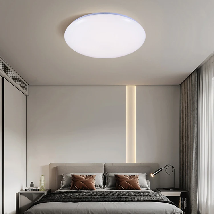 Wholesale China Product Round Interior Surface Mounted 24w 48w Smart LED RGB Ceiling Light