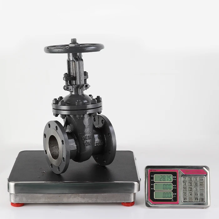  High-quality products GOST Gate valve Z41H-16C Reduced diameter