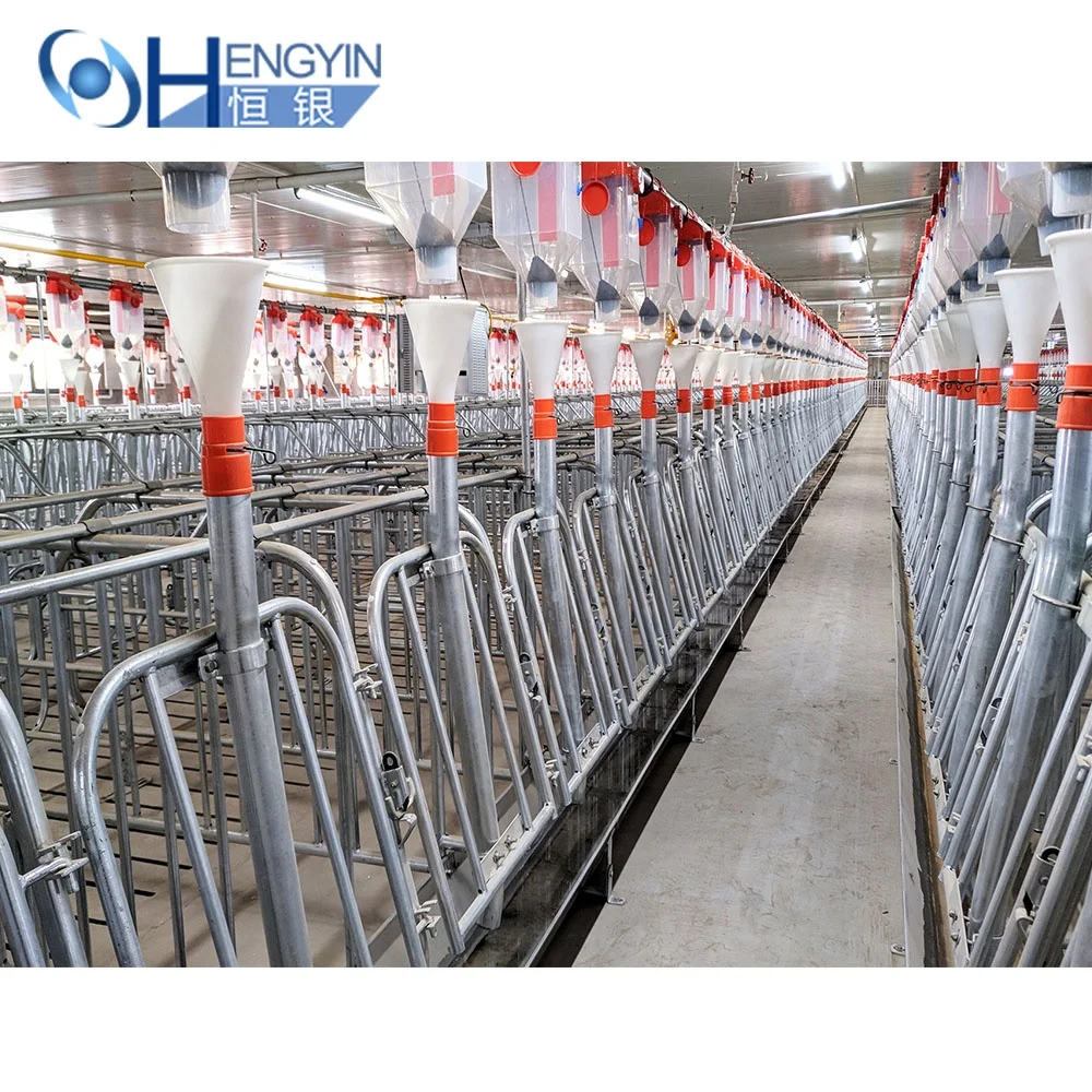 Can be customized high quality Sows pregnancy cage pig gestation crates Pens for pig farm equipment