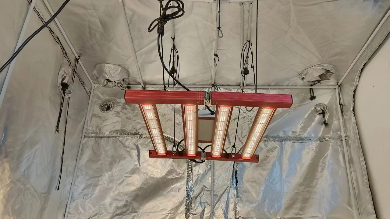 240W Samsung 301H EVO LM301 LM281 Bar Commercial Full Spectrum LED Grow Light for Indoor Tent Grow