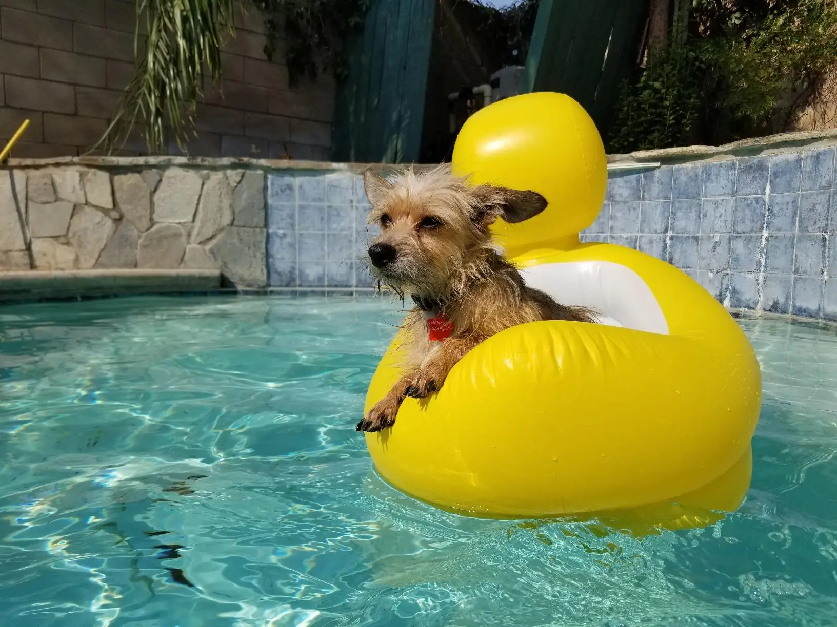 LC Small Inflatable Baby Bathtub Portable Air Swimming Pool Kid Infant Toddler Thick Foldable Shower Basin with Soft Cushion