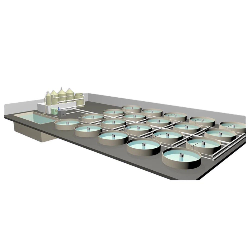 Aquaculture Biological Filter Recirculating System/RAS/Fish Grow Out System