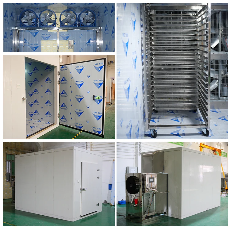 Wholesale Plant Electric Fruit Vegetable Drying Machine Mushroom Mango Food Dryer Commercial Dehydrator Machine Manufacturer For