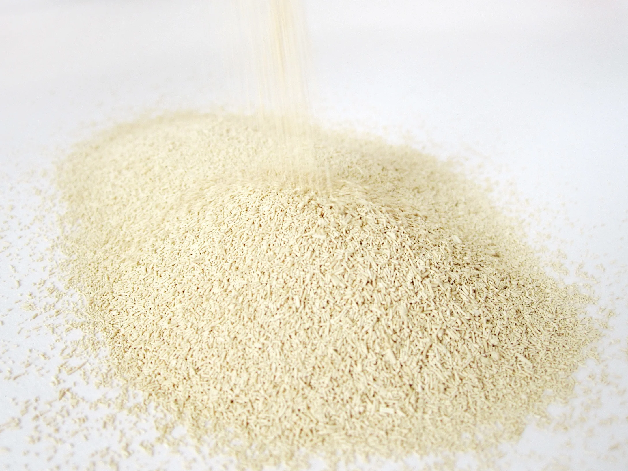Factory wholesale customize logo Low-Sugar Active instant dry yeast power 500g 450g 400g 125g for baking bread toast dough