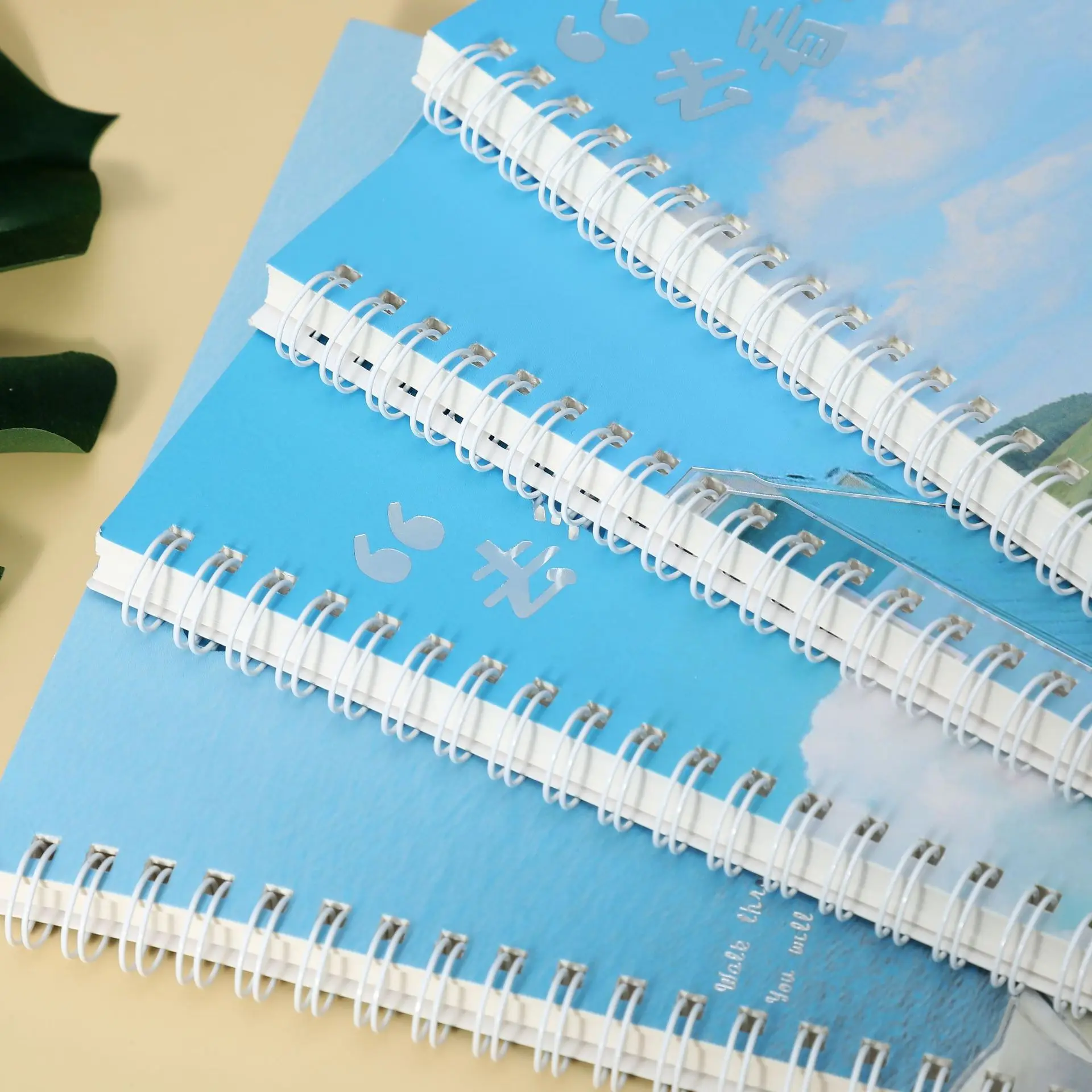 Simplified B5 thick coil artistic and fresh horizontal line stationery college student notebook homework book