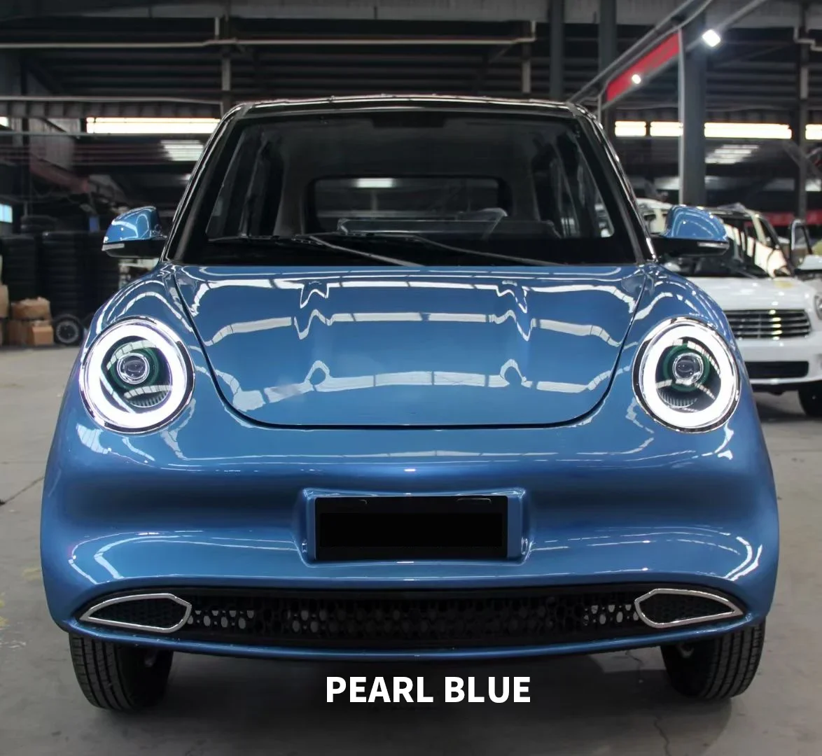 Multi-functional EEC Approval New Energy Electric Vehicle 4 Wheel Car Low Speed Adult Mini