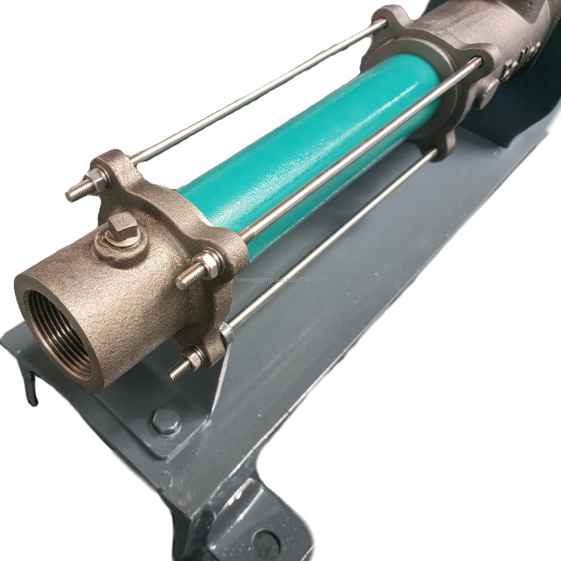 RoNice  as Netzsch NM021BY01L06B Single Screw Pump for flocculant solution