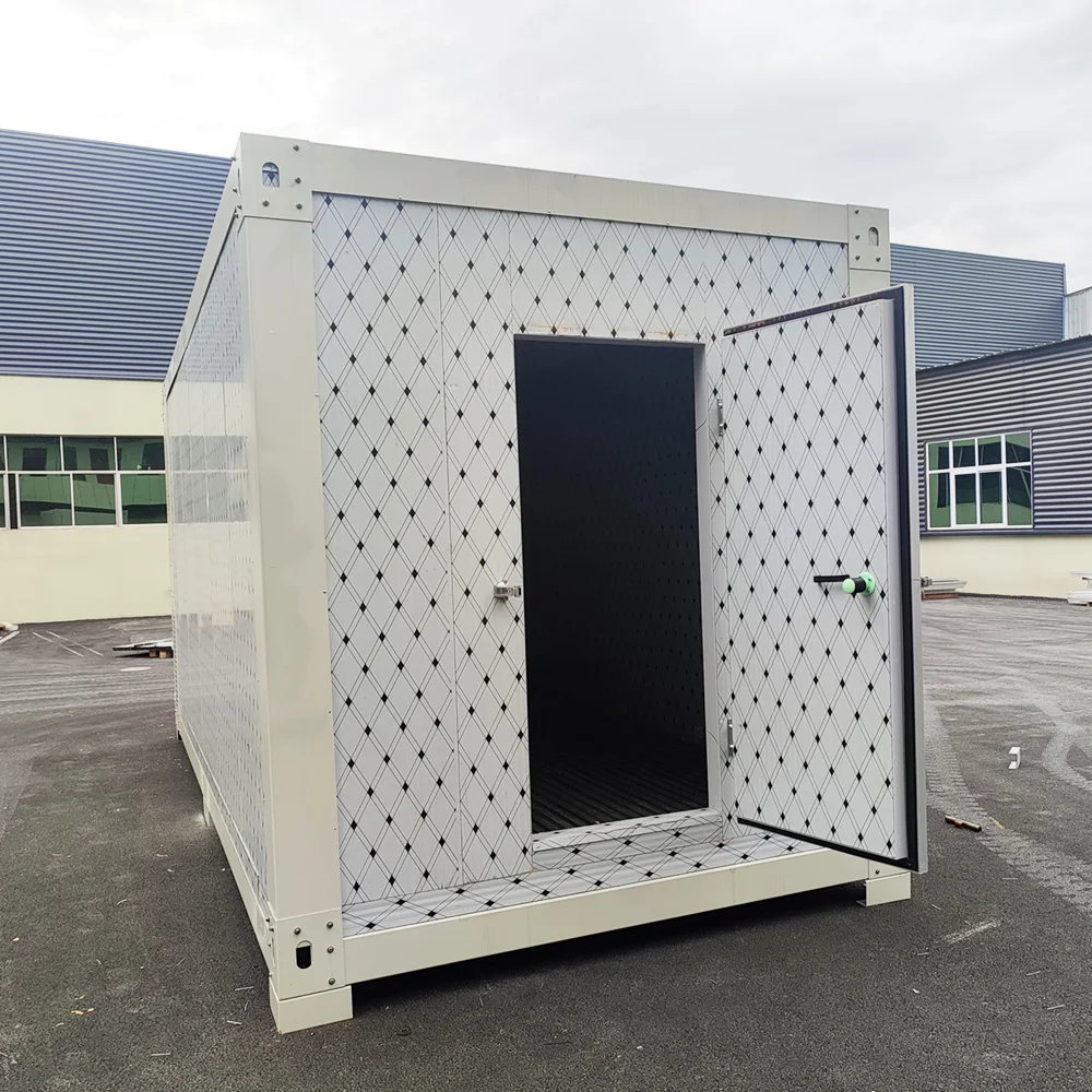 Walk In Freezer Storage Fast Refrigeration High-Efficiency Quick Freezing Cold Room For Vegetable