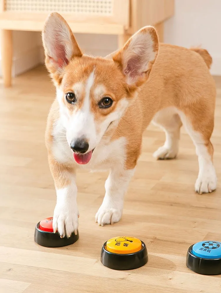 Recordable Answer Buzzers Personalized Sound Buzzer