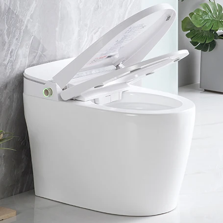 Empolo High Quality Bidet Power Toilet Bowl Commode Wc Smart Intelligent Toilet Strap with Automatic Flush Function Seat China