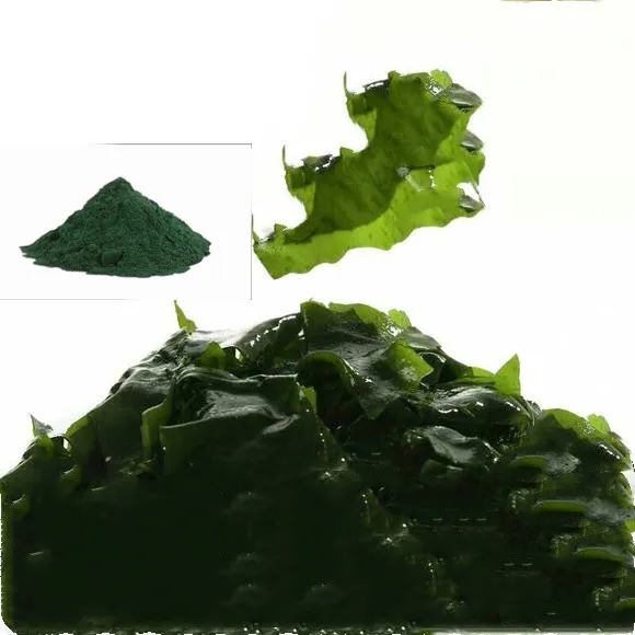 Вегетарианский порошок спирулины высшего качества, экстракт спирулины, полный спектр
