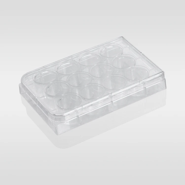 High standard transparent 96 well cell 0.2 / 1.6ml bacterial culture media plate