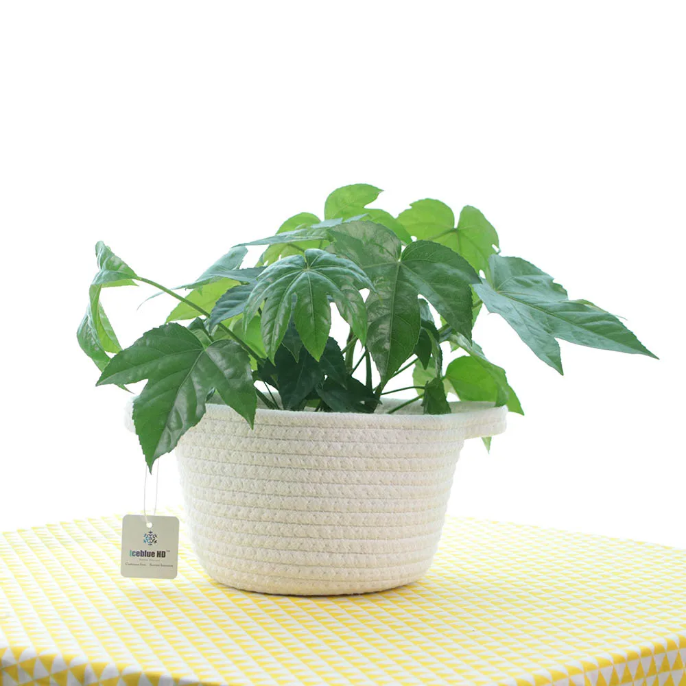 ICEBLUE HD Handcraft Cotton Woven Rope Front Door Key Basket ServingTray